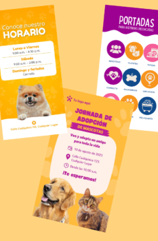 Plantillas identidad instagram tematica de mascotas